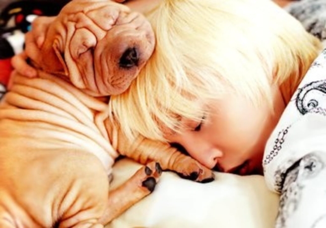 G-dragon dog